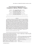 Neurochemical organization of chimpanzee inferior pulvinar complex