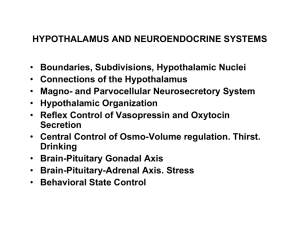 Connections of the Hypothalamus