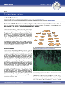 Eye, light, life and evolution