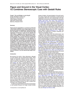 Figure and Ground in the Visual Cortex: V2 Combines Stereoscopic