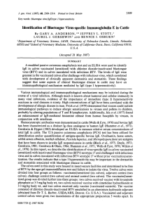 Identification of Biuetongue Virus-specific Immunoglobulin E in Cattle