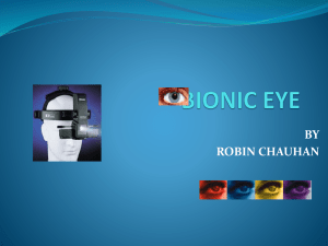 bionic eye