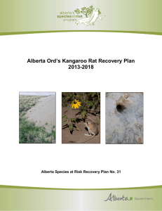 Alberta Ords Kangaroo Rat Recovery Plan 2013 -2018