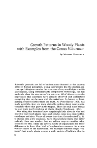 Growth Patterns in Woody Plants with Examples from the