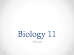 Biology 11