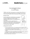 Transesophageal Echocardiogram