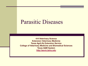 Nutritional Diseases - Extension Veterinary Medicine