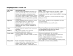 Dysphagia level 1 foods List