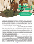 Nutrients for Horses - University of Arizona