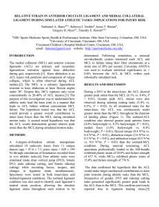 relative strain in anterior cruciate ligament and medial collateral