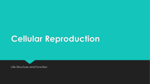 Cellular Reproduction Life Structure and Function