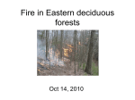 Eastern Deciduous Forest - Natural Resource Ecology and