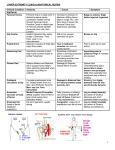 pdf - Zill Anatomy Web Pages