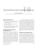 Clinical Examination of a Patient with Possible Neuropathic Pain