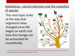 Adaptation, natural selection and the evolution