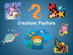 Creature Feature Box Jellies