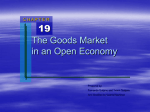 Chapter 18: The Open Economy
