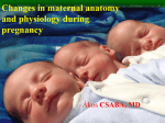 Changes in maternal anatomy and physiology during pregnancy