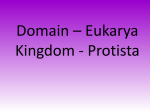 Domain - Eukarya