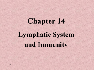 Lymphatic System Chapt 14