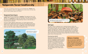 Temperate forest biodiversity