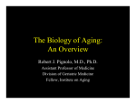 The Biology of Aging: An Overview