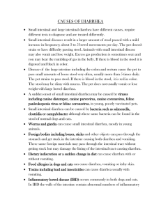 causes of diarrhea - IHMC Public Cmaps (3)