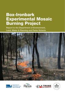 Box-Ironbark Experimental Mosaic Burning Project