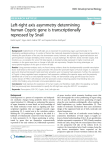 Left-right axis asymmetry determining human Cryptic gene is