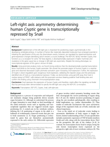 Left-right axis asymmetry determining human Cryptic gene is