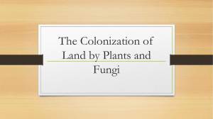 Colonization of Land By Plants and Fungi