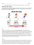 11/21 muscle fiber types answers