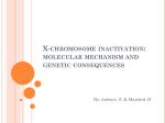 X-chromosome inactivation: molecular mechanism and genetic