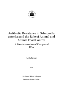 Antibiotic Resistance in Salmonella enterica and the Role of Animal