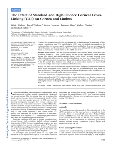 High fluence CXL and Corneal Limbus