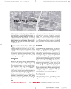 Urban Vegetation