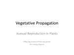 Veg. Prop. - Spanish Point Biology