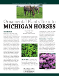 Ornamental Plants Toxic to Michigan Horses