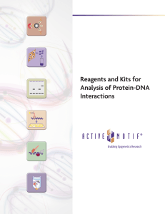 Protein-DNA Interaction Analysis Brochure