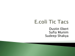 E.coli Tic Tacs