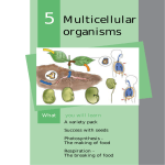 5 Multicellular organisms