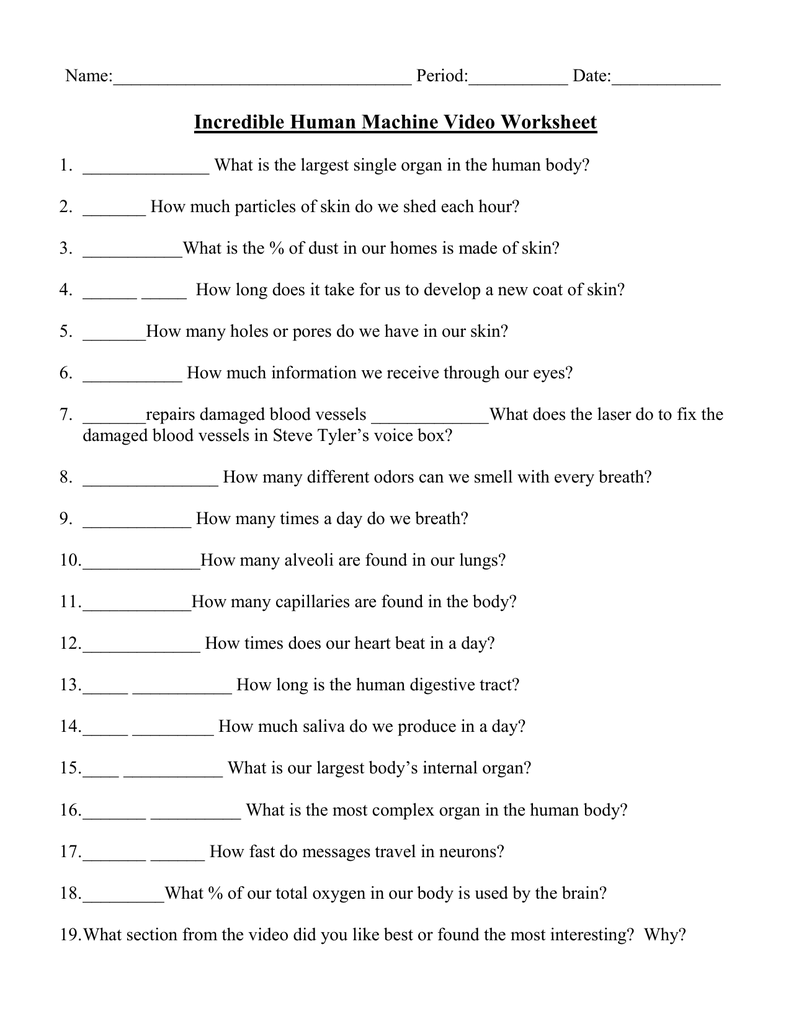 Name: Period:______ Date:______ Incredible Human Pertaining To Incredible Human Machine Worksheet