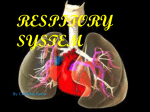 RESPITORY SYSTEM