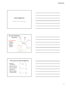 Gluconeogenesis Precursors for Gluconeogenesis