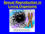 Sexual Reproduction in Animals involves specialized sex cells