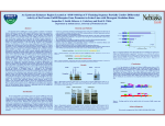 An Upstream Enhancer Region Located at -1810/