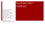 What is a southern blot?