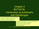 Chapter 2 BOT3015L Introduction to Autotrophs and