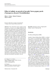 Effect of salinity on growth of juvenile Yarra pygmy perch