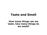 Taste and Smell